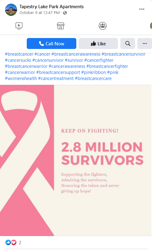 PINK_tapestry-lake-park