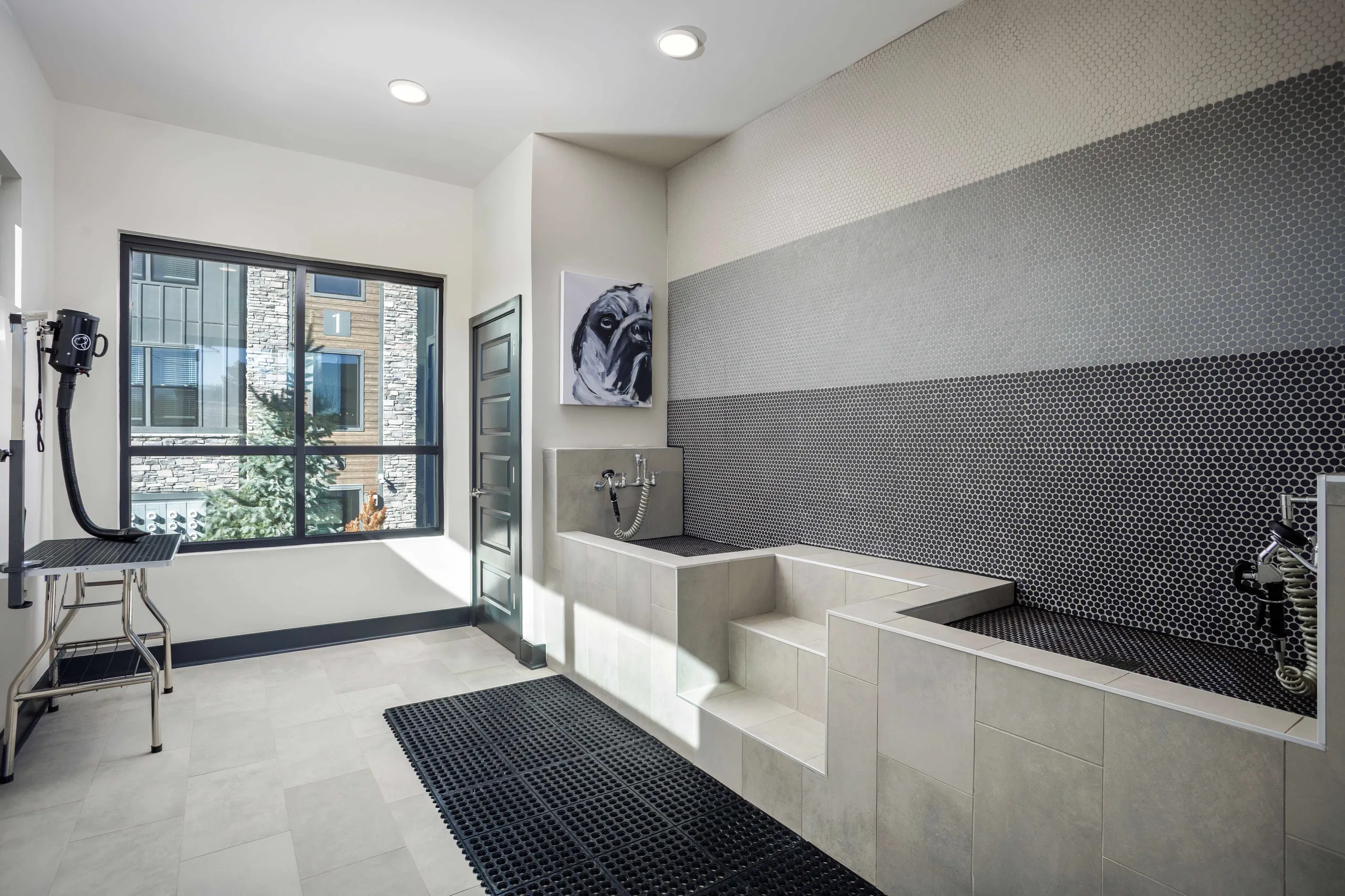 Velo Interlocken_Interior Amenities_Pet Spa 1_March2026_Web